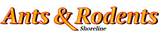 Shoreline Ant Exterminator & Rodent Control Company Logo